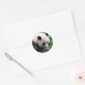 Panda Sticker ラウンドシール (封筒)