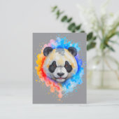 Pandabär ポストカード (スタンド正面)