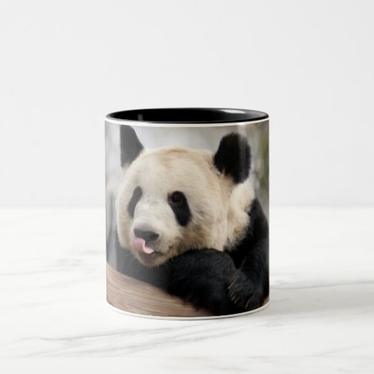 PandaM021 ツートーンマグカップ (中央)