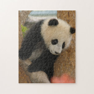 PandaSD009 ジグソーパズル