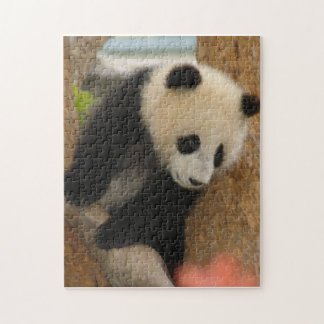 PandaSD009 ジグソーパズル