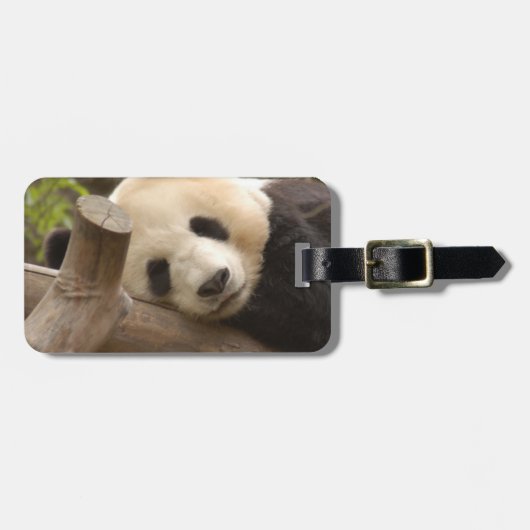 PandaSD010 ラゲッジタグ (正面横)