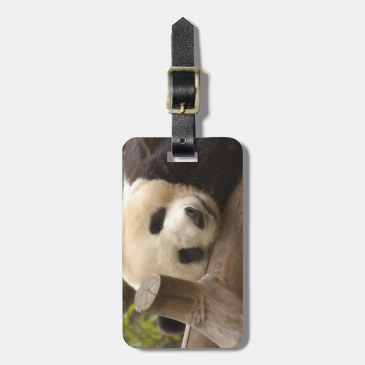PandaSD010 ラゲッジタグ (正面縦)