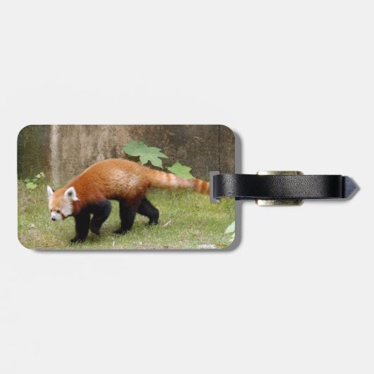 PandaSD010 ラゲッジタグ (裏面横)