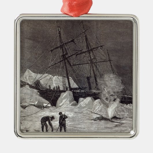 Pandoraは氷ではさみ切りました メタルオーナメント (正面)