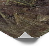 PaNDoRA, by John William Waterhouse, 1896 ポスター (角)