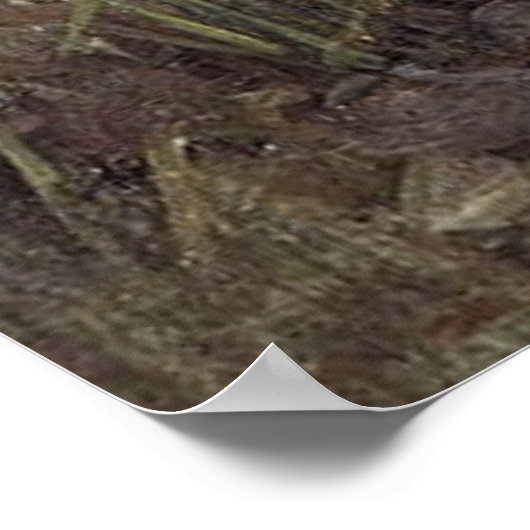 PaNDoRA, by John William Waterhouse, 1896 ポスター (角)