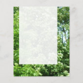 Panel 024 - Summer Breeze チラシ (裏面)