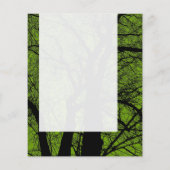 Panel 055 - High Contrast Tree - 669900 チラシ (裏面)