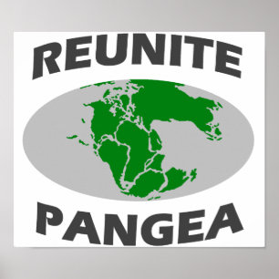 Pangeaを再会させて下さい ポスター