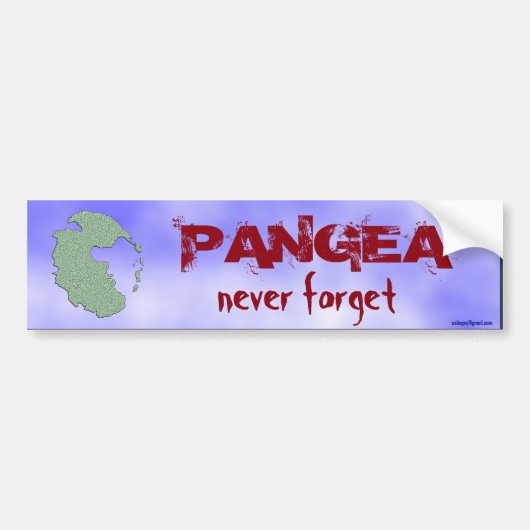 Pangea… バンパーステッカー (正面)