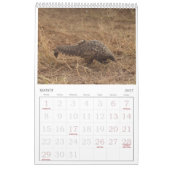 Pangolin Rescue Fund Calendar 2026 カレンダー (3月 2027)