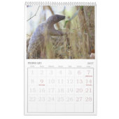 Pangolin Rescue Fund Calendar 2026 カレンダー (2月 2027)