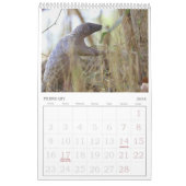 Pangolin Rescue Fund Calendar 2026 カレンダー (2月 2026)