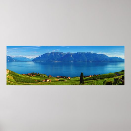 Panorama on Lavaux region, Vaud，スイス ポスター (正面)