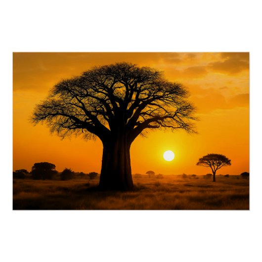 Panorama zur goldenen Stunde am Baobab-Baum ポスター (正面)
