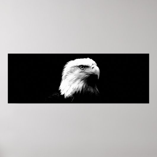 Panoramic Bald Eagle American Eagle Poster Print ポスター (正面)