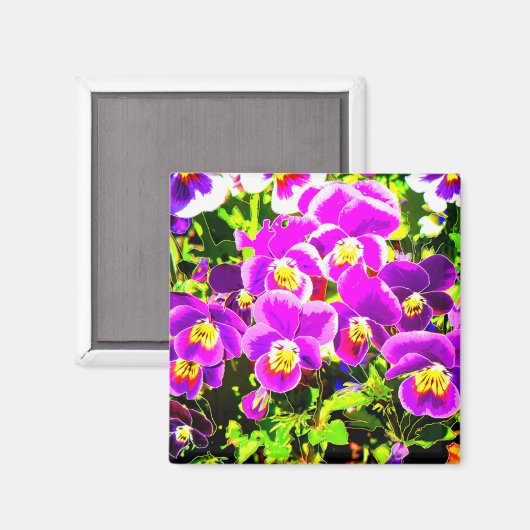 Pansies_2006_Magnet マグネット (正面/裏面)