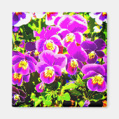 Pansies_2006_Magnet マグネット (正面)