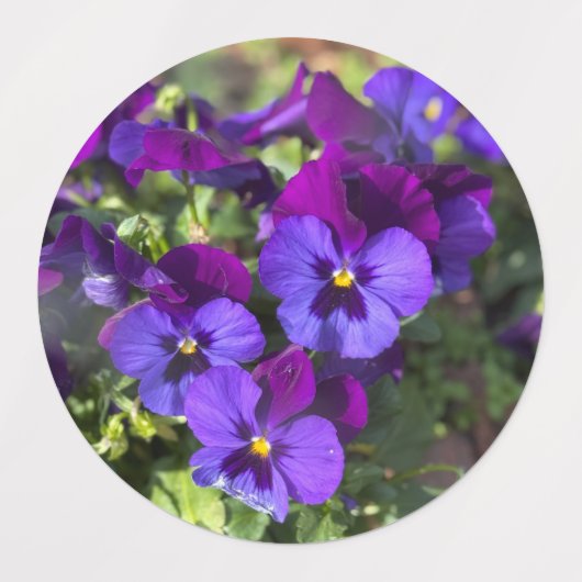 Pansies Return Address Labels ラベル (デザイン2)