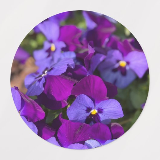 Pansies Return Address Labels ラベル (デザイン1)
