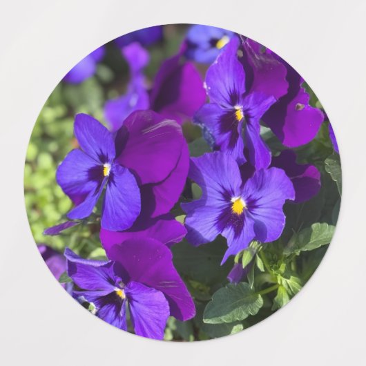 Pansies Return Address Labels ラベル (デザイン3)