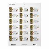 Pansyディスプレイ～ラベル# 5 ラベル (フルシート)