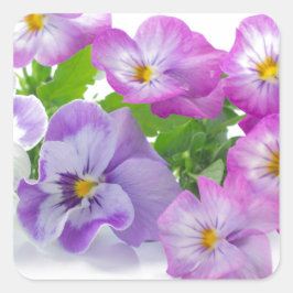 pansy スクエアシール