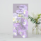 Pansy Family Reunion プログラム (スタンド正面)