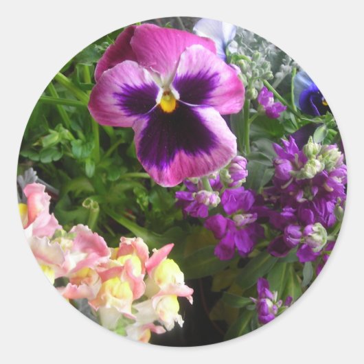 PANSY N FRIENDSスタンプ ラウンドシール (正面)
