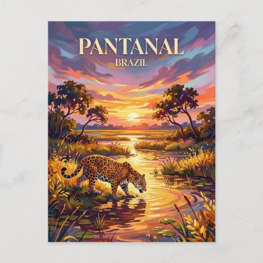 Pantanal Brazil ポストカード (正面)