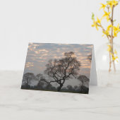 Pantanal Wetlands | South America, Brazil カード (黄色い花)