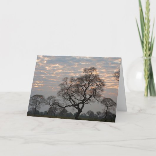 Pantanal Wetlands | South America, Brazil カード (正面)