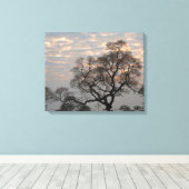 Pantanal Wetlands | South America, Brazil キャンバスプリント (インサイチュ (ウッドフロア))