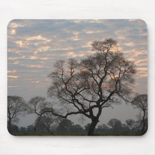 Pantanal Wetlands | South America, Brazil マウスパッド (正面)