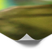 Panther Chameleon，マダガスカル ポスター (角)