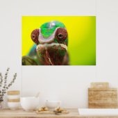 Panther Chameleon，マダガスカル ポスター (キッチン)