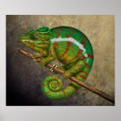 Panther Chameleon Digital Painting ポスター (正面)