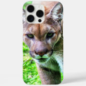PANTHER iPHONE 16 カバー (裏面)