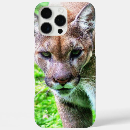 PANTHER iPHONE 16 カバー (裏面)