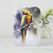 Papagei シーズンカード (スタンド正面)