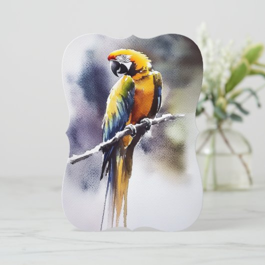 Papagei シーズンカード (スタンド正面)