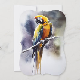 Papagei シーズンカード