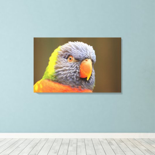 Papagei - Lori キャンバスプリント (インサイチュ (ウッドフロア))
