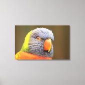 Papagei - Lori キャンバスプリント (正面)