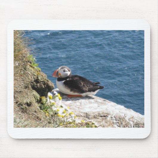 Papageientaucher マウスパッド (正面)
