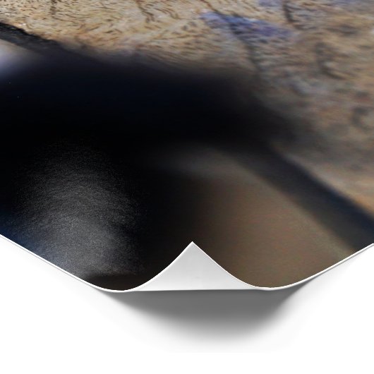 Paparazzi bij Fubby op rooster. ポスター (コーナー)