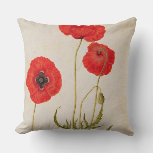 Papavarのrhoeas、c.1568 クッション (正面)