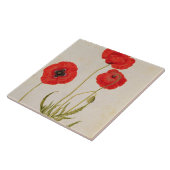 Papavarのrhoeas、c.1568 タイル (側面)