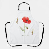 Papaver rhoeas  エプロン (正面)